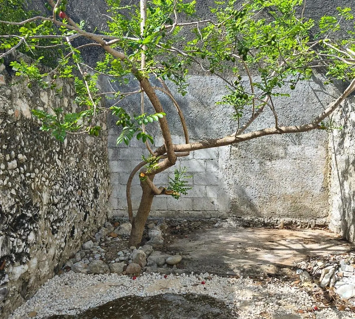 Casa Canela Merida Mexico