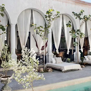 Casa Olivia Mérida